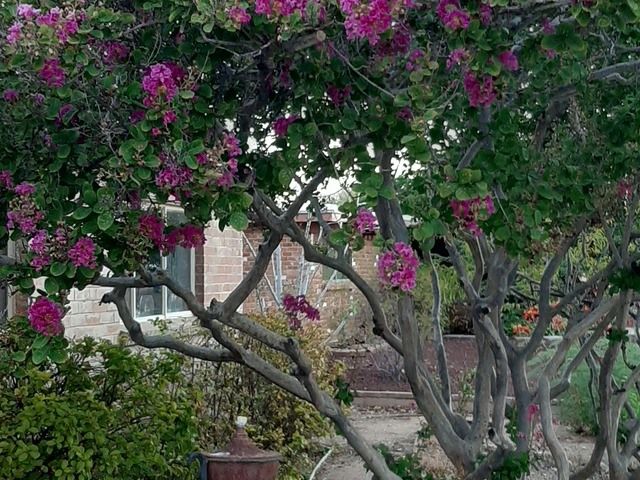 Gallery Image for LOVECARE, CO. in TUCSON, AZ