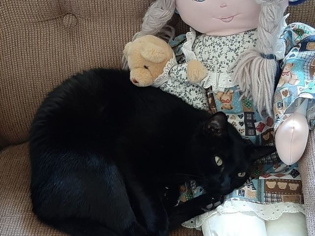 Gallery Image for LOVECARE, CO. in TUCSON, AZ