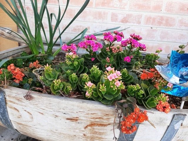 Gallery Image for LOVECARE, CO. in TUCSON, AZ