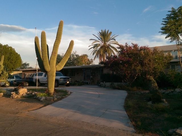 Gallery Image for LOVECARE, CO. in TUCSON, AZ