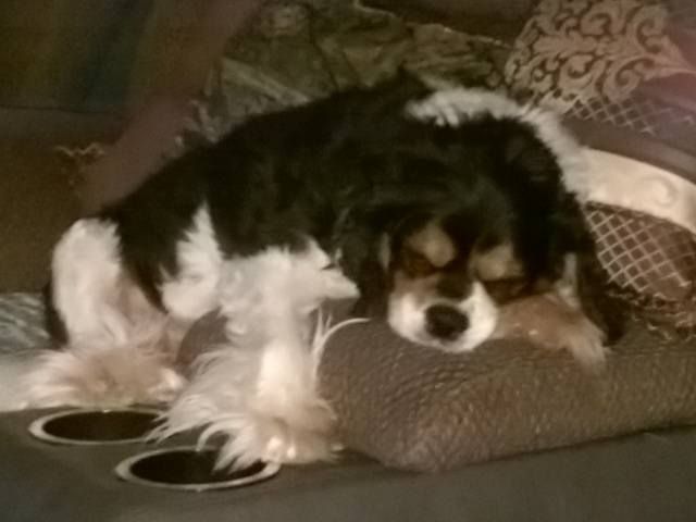 Gallery Image for LOVECARE, CO. in TUCSON, AZ