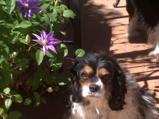 Gallery Image for LOVECARE, CO. in TUCSON, AZ