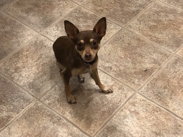 Paseo Highlands Assisted Living Assisted Living Home-directed in Phoenix, AZ