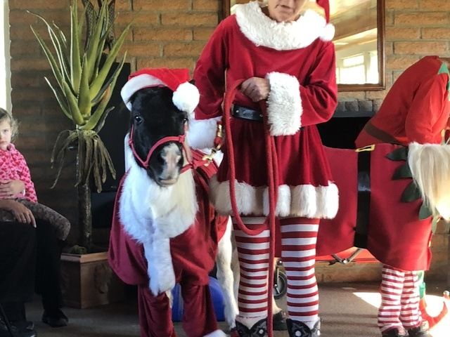 Gallery Image for VISTA RANCH LLC in MESA, AZ