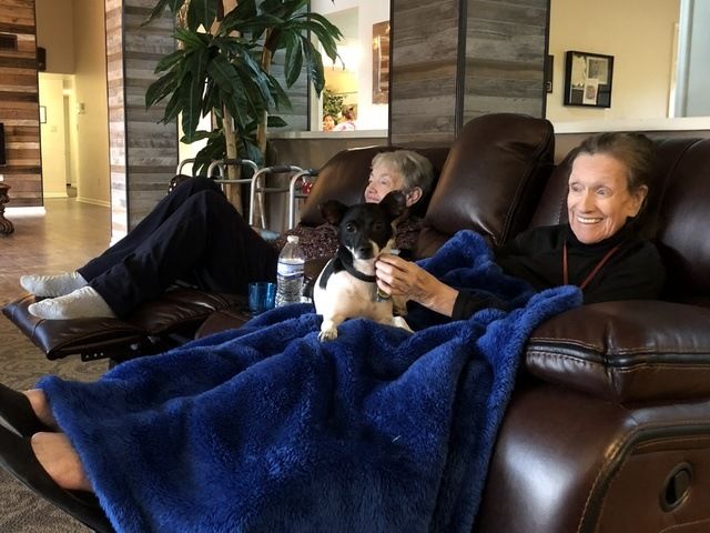 Gallery Image for VISTA RANCH LLC in MESA, AZ