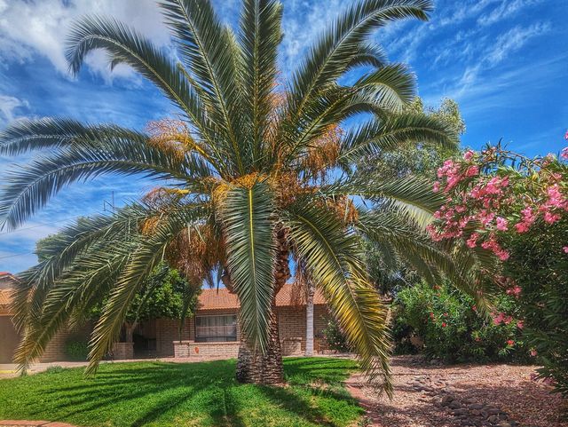 Gallery Image for Serene Haven Living in PHOENIX, AZ