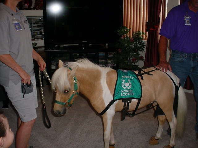 Gallery Image for CHERRY'S ASSISTED LIVING in TUCSON, AZ