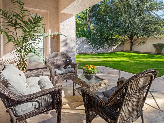 Gallery Image for MAJESTIC ROSE in GILBERT, AZ