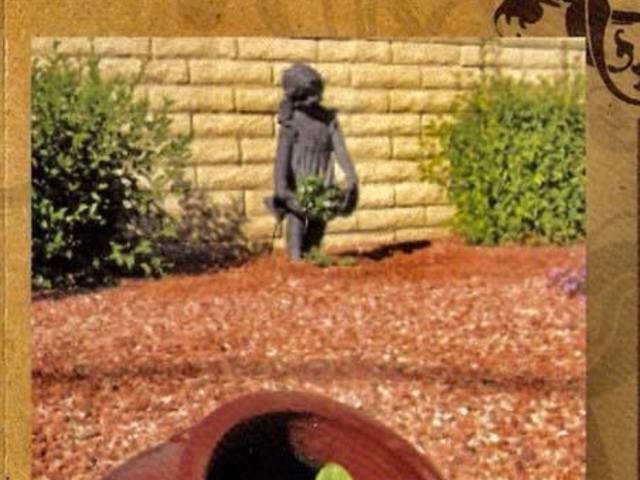 Gallery Image for BEEBES ASSISTED LIVING in PHOENIX, AZ