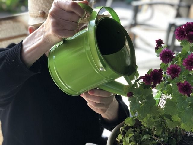 Gallery Image for GOLDEN LIVING GUEST HOME in OAKLAND, CA