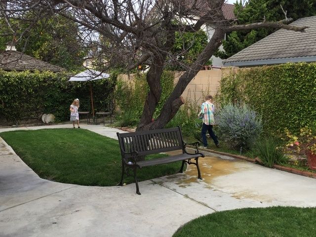 Gallery Image for CRYSTAL COVE CARE #1 in FOUNTAIN VALLEY, CA