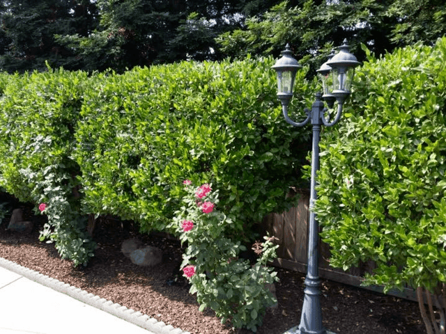 Gallery Image for BELLE VIE RESIDENTIAL ASSISTED LIVING in ROSEVILLE, CA