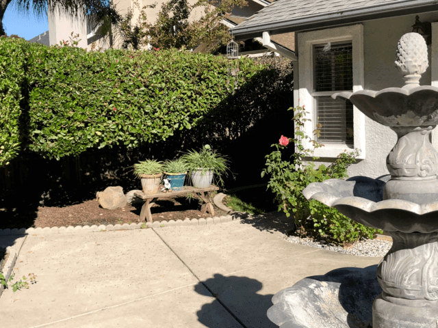 Gallery Image for BELLE VIE RESIDENTIAL ASSISTED LIVING in ROSEVILLE, CA