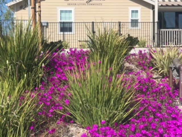 Gallery Image for SUNVIEW GARDENS in POWAY, CA