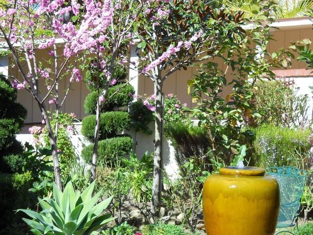 Gallery Image for ALEXANDER GARDENS in SANTA BARBARA, CA