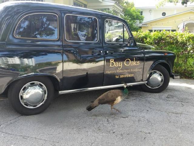 Gallery Image for BAY OAKS HISTORIC RETIREMENT RESIDENCE INC in MIAMI, FL