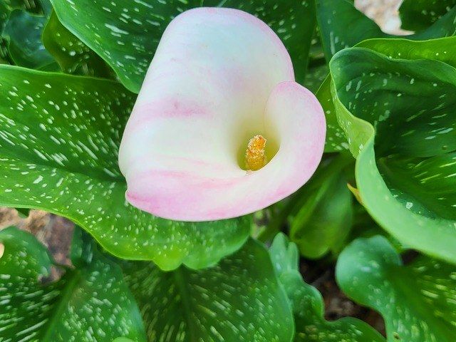 Gallery Image for KOZIE KOTTAGE, LLC in WEST PALM BEACH, FL