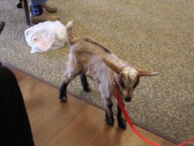 Gallery Image for CountryHouse Residence in Council Bluffs, IA