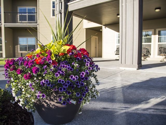 Gallery Image for Morningstar of Idaho Falls in IDAHO FALLS, ID