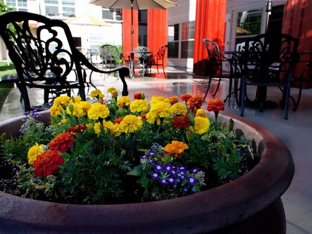 Gallery Image for MORNINGSTAR OF SPARKS in SPARKS, NV