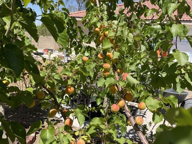 Gallery Image for NEVADA MEMORY CARE in LAS VEGAS, NV