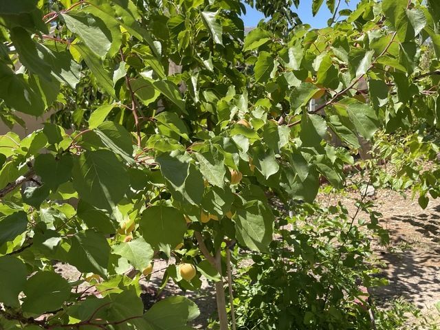 Gallery Image for NEVADA MEMORY CARE in LAS VEGAS, NV