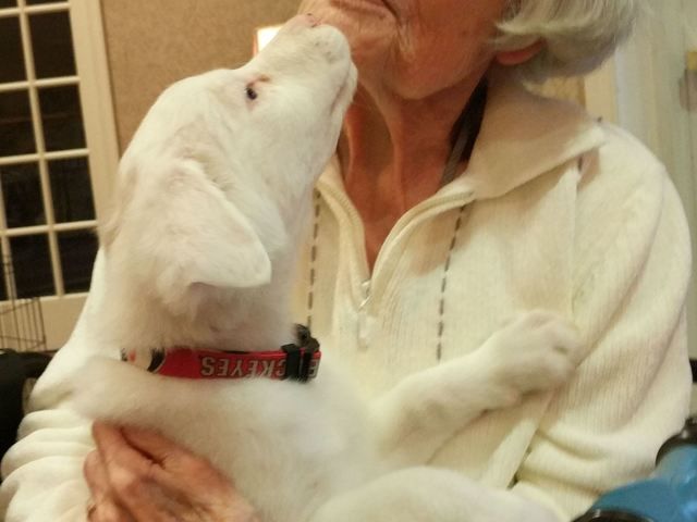 Gallery Image for CREEKSIDE AT THE VILLAGE in COLUMBUS, OH