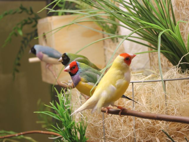 Gallery Image for DANBURY OF BRUNSWICK in BRUNSWICK, OH