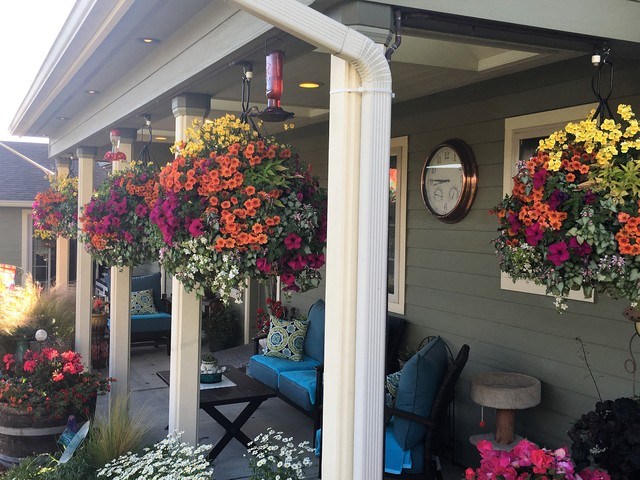 Gallery Image for Sharon Bright in Coos Bay, OR