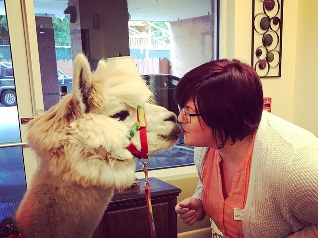 Gallery Image for Emerson House in Portland, OR