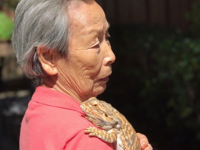 Gallery Image for Emerson House in Portland, OR