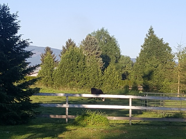 Gallery Image for Nature's Way in Junction City, OR