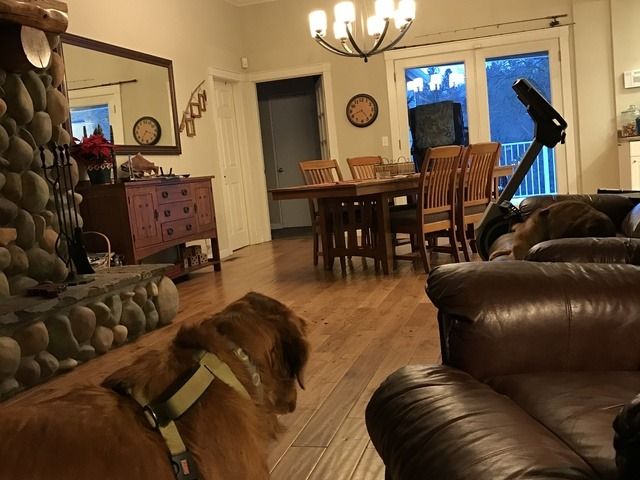 Gallery Image for Joni Sager in Grants Pass, OR