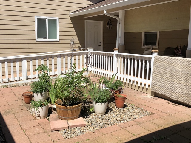 Gallery Image for Suschia Rickman in Portland, OR