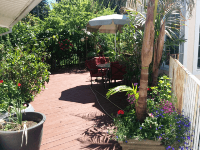 Gallery Image for Mariana Paul in Portland, OR