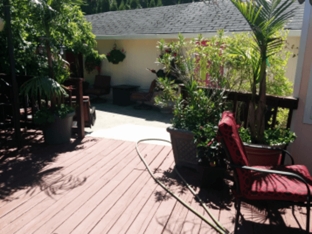 Gallery Image for Mariana Paul in Portland, OR