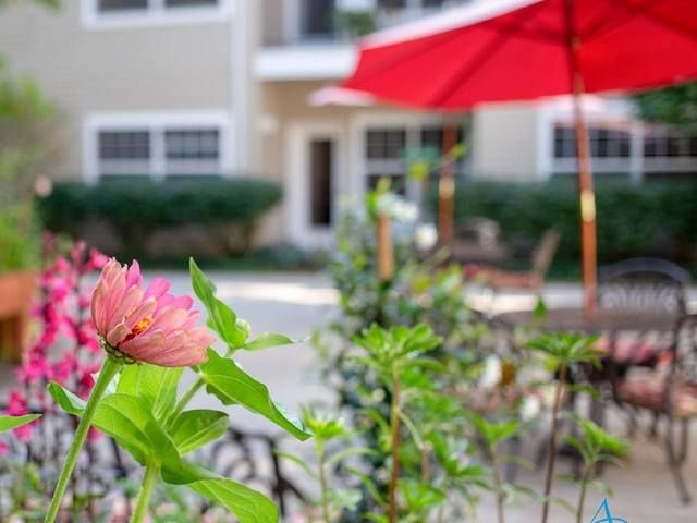 Gallery Image for Avamere at Cascadia Village in Sandy, OR