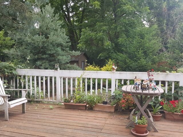 Gallery Image for Lili Negreanu in Portland, OR