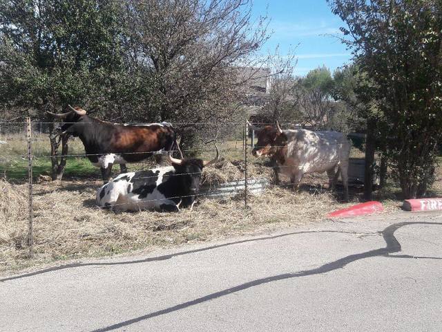 Gallery Image for Georgetown Living II in Georgetown, TX