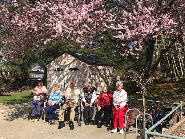 Gallery Image for OVERLAKE TERRACE in REDMOND, WA