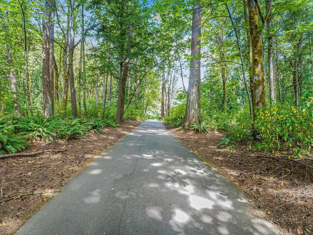 Gallery Image for GOLDEN PINE in REDMOND, WA