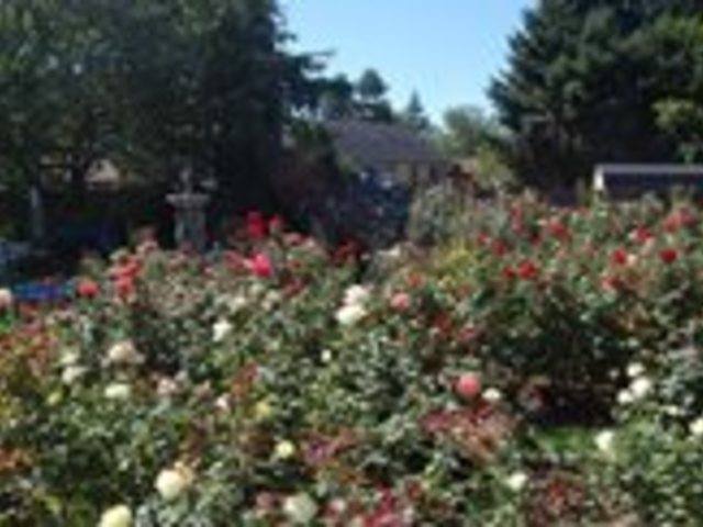 Gallery Image for EVERGREEN QUALITY HOME in VANCOUVER, WA