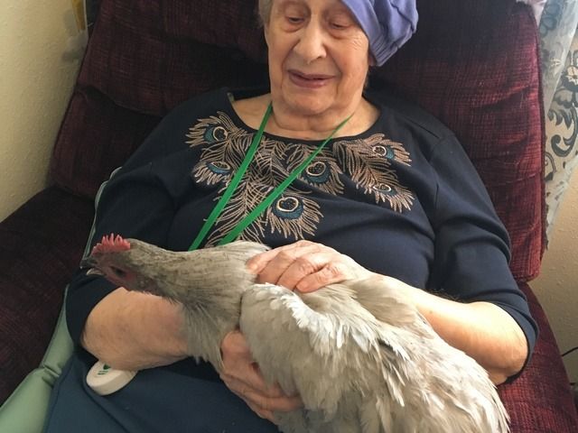 Gallery Image for AT HOME AGAIN AFH LLC in SPOKANE VALLEY, WA