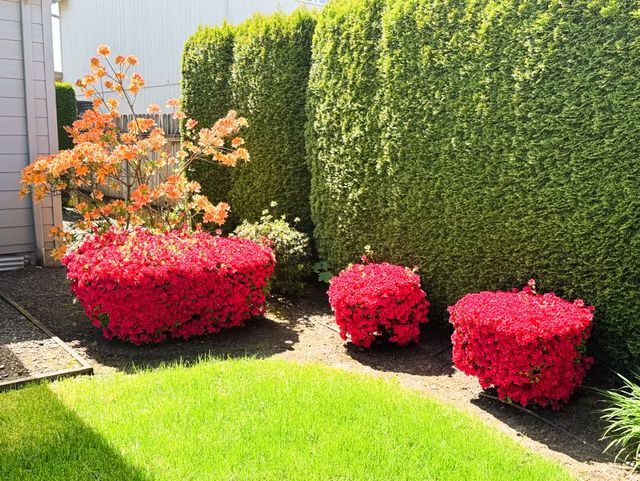 Gallery Image for Evergreen Elder Care AFH in Vancouver, WA