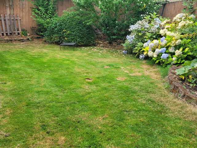 Gallery Image for Tropical Sunset Adult Family Home LLC in Lake Stevens, WA