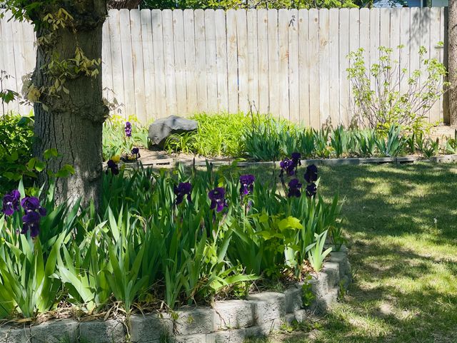 Gentle Hands Home Care LLC Adult Family Home in Kennewick, WA