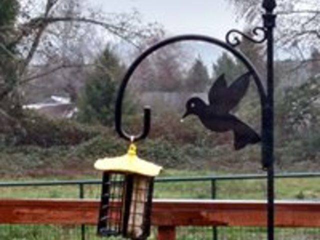 Gallery Image for Deer Creek Adult Family Home Inc in Puyallup, WA