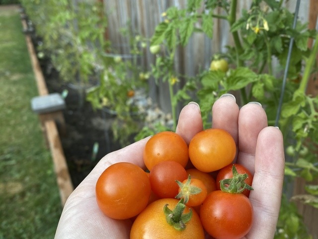 Forest Cottage AFH Adult Family Home in Bothell, WA