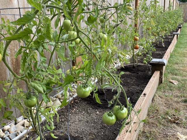 Forest Cottage AFH Adult Family Home in Bothell, WA