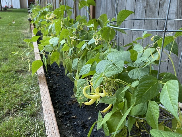 Forest Cottage AFH Adult Family Home in Bothell, WA